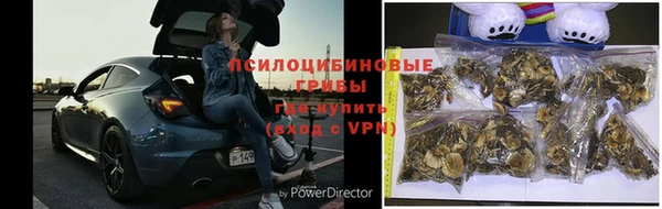 индика Алексеевка