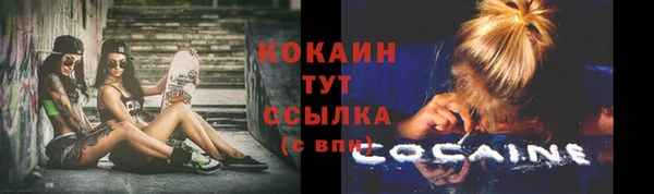 сатива Арсеньев