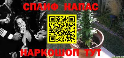 эйфоретик Севастополь
