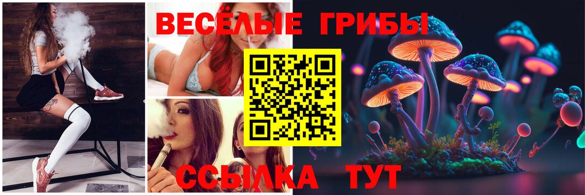 Барабинск  Псилоцибиновые грибы Magic Shrooms  Галлюциногенные грибы прущие грибы  Вход с VPN 